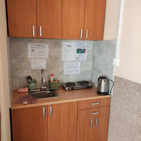 Mandrivnyi Rooms&apartments Gasthuis