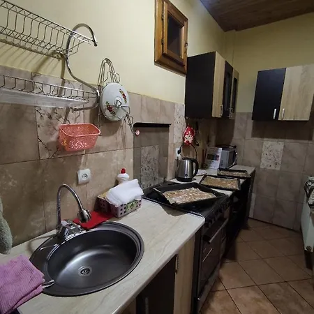 Mandrivnyi Rooms&apartments 3* Yasinya