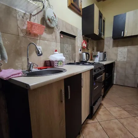 Πανσιόν Mandrivnyi Rooms&apartments Yasinya