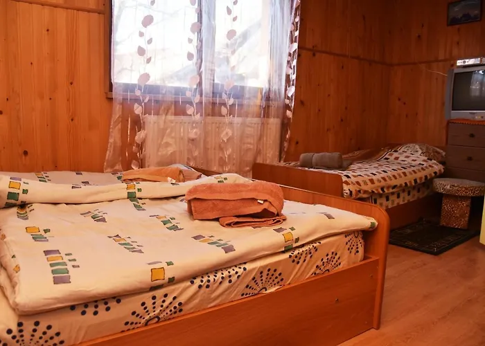 Mandrivnyi Rooms&apartments 3*