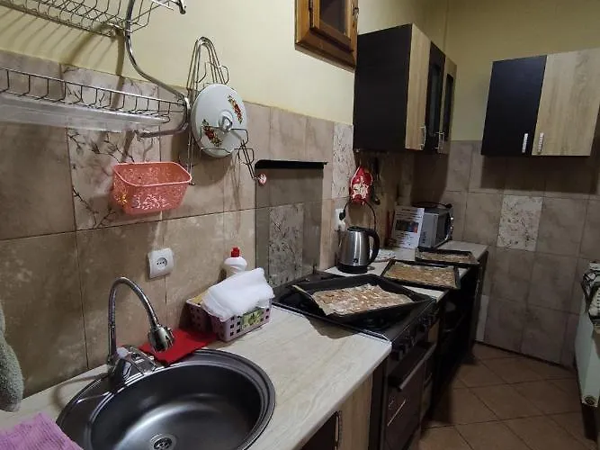 Mandrivnyi Rooms&apartments 3* Jasina