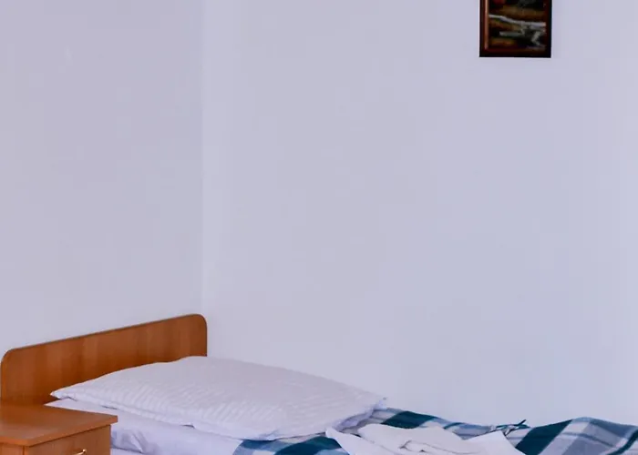 Mandrivnyi Rooms&apartments 3* Jasina
