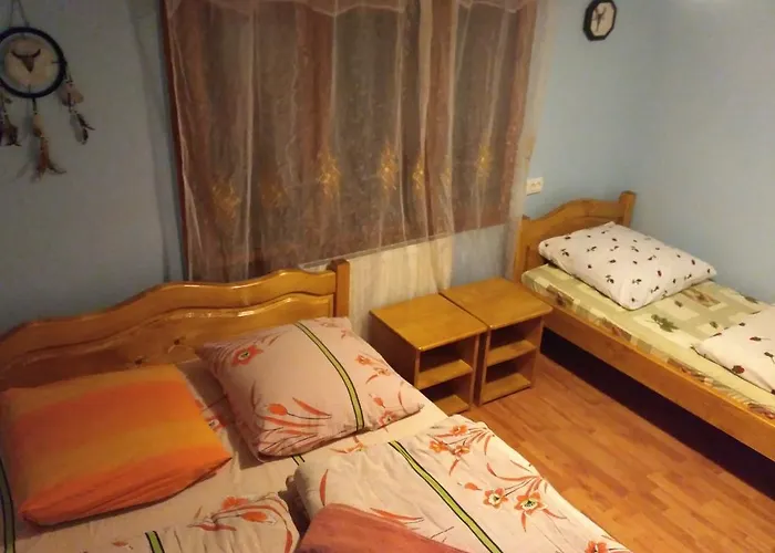 Mandrivnyi Rooms&apartments 3* Jasina