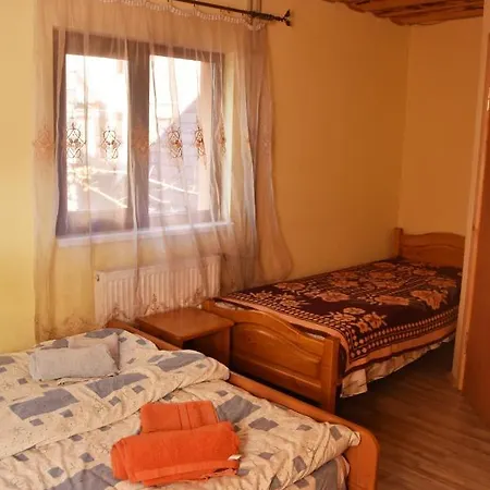 Mandrivnyi Rooms&apartments 3* ヤシニャ